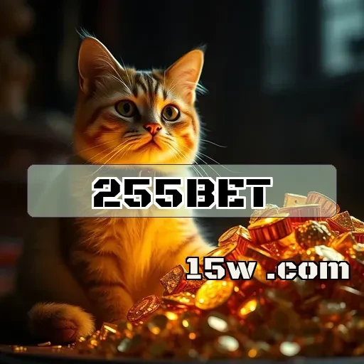 255bet Promoções